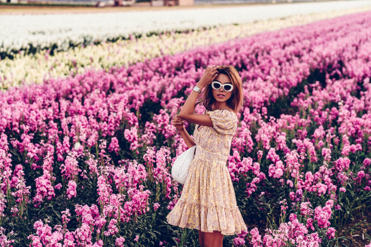 Fashionable summer dresses