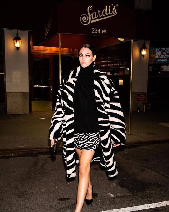 Zebra print