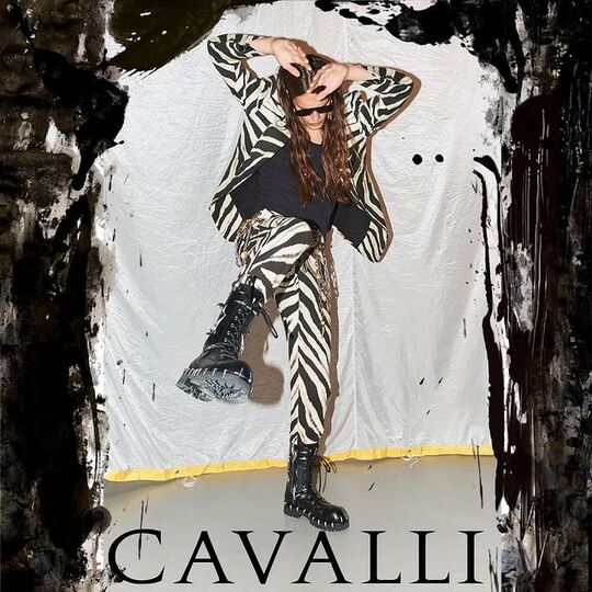Animalistic collection