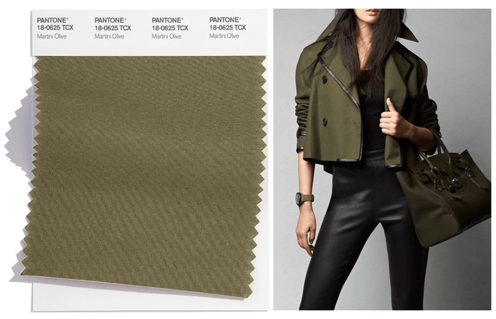 Dark olive color