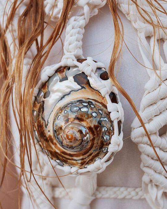 Shells