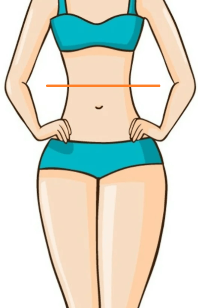 Waist