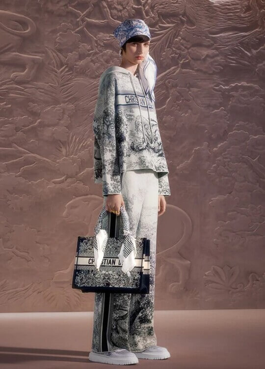 Fashionable hoodie from Dior