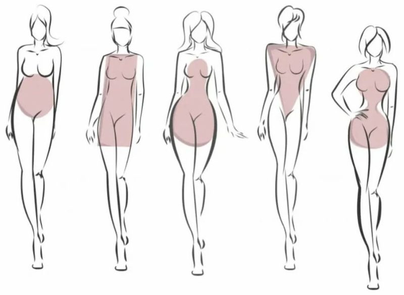 Shape types