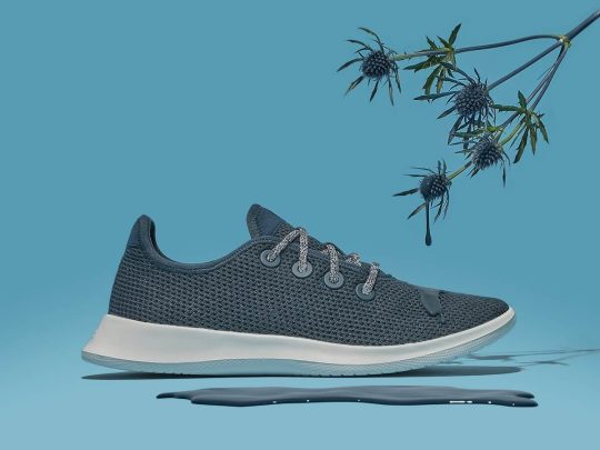 Blue Allbirds, Tree Dashers 