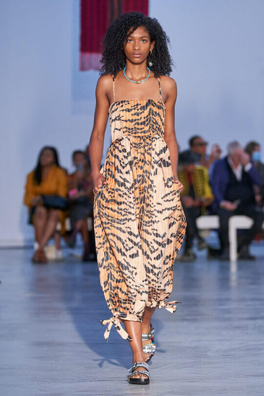 Tiger print by Kenneth Ize 