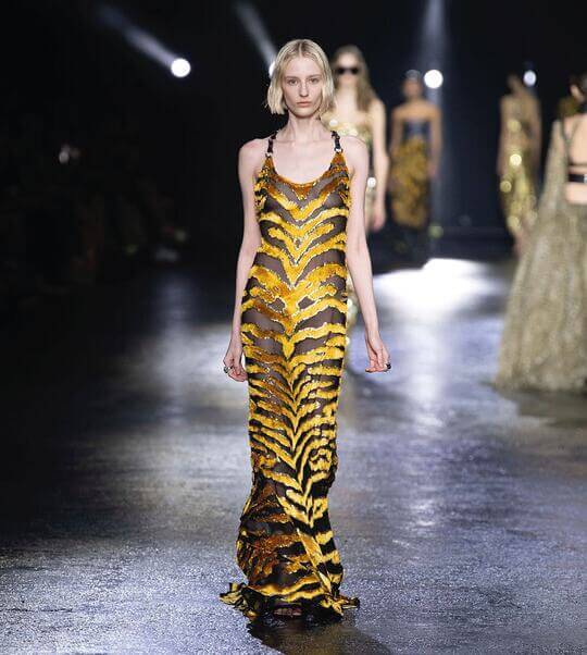 Dress by Roberto Covalli