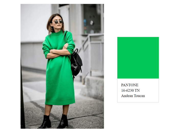 Green shade Andean Toucan - a trend for spring summer 2023
