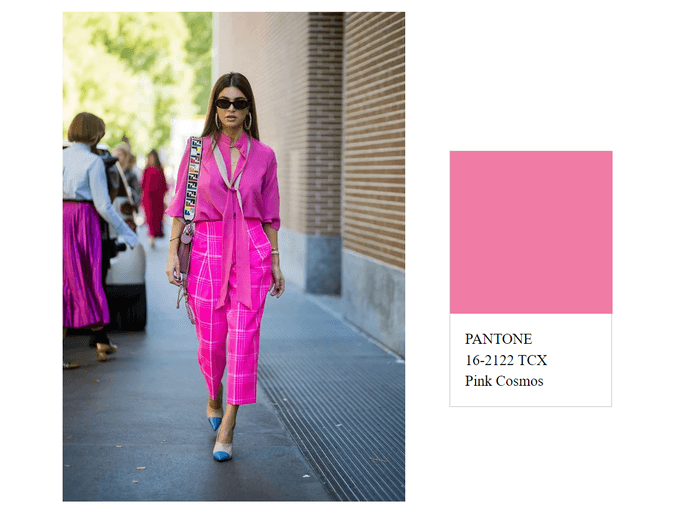 Trending Color Garden Pink Pink Cosmos